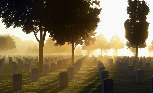 cemetary in sunlight and fog